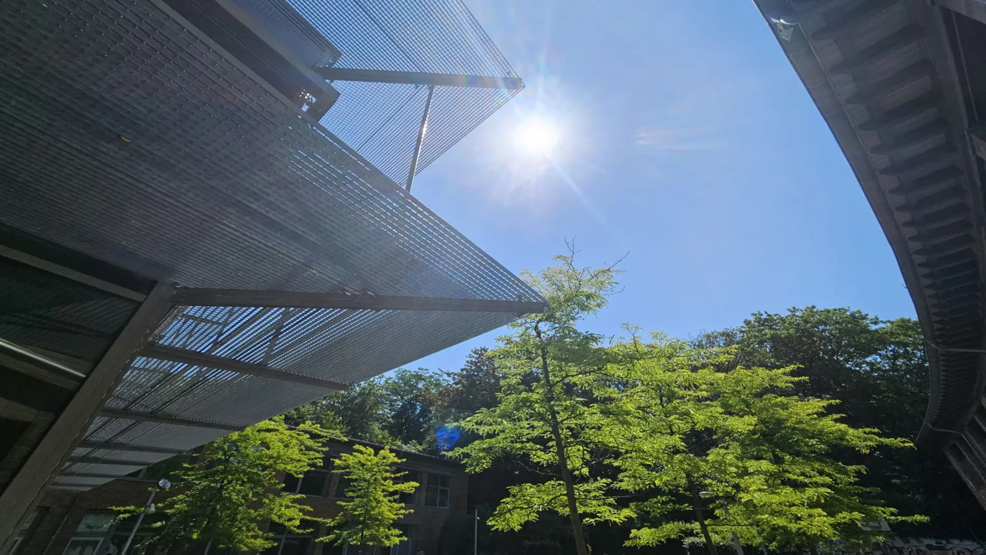 Sonne über dem Schulhof
