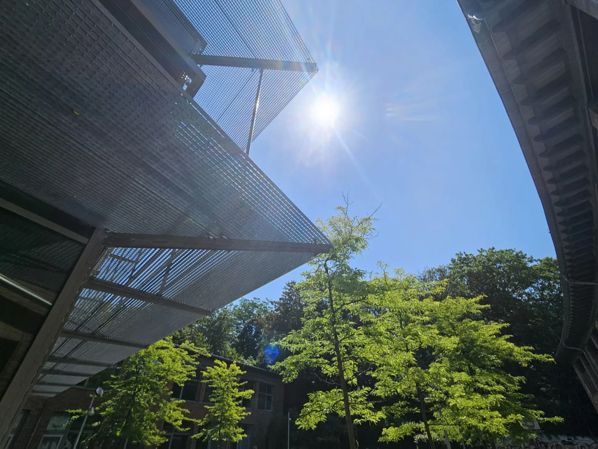 Sonne über dem Schulhof